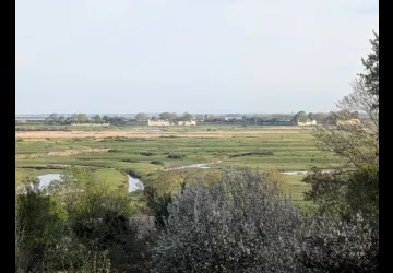 Hébergement Saint-Roch - Meublé_Marennes-Hiers-Brouage