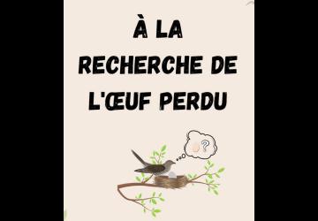 photo jeu