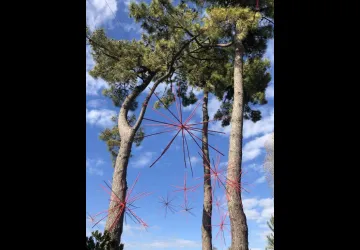 Anémochores - Installation artistique de Marie-Hélène Richard_Le Grand-Village-Plage