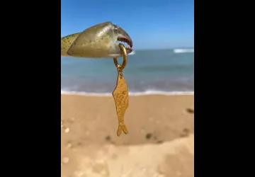 Boucles d’oreilles poissons