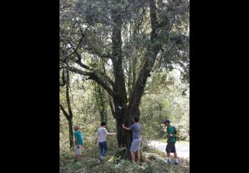 Balades sensorielles en famille_Le Grand-Village-Plage