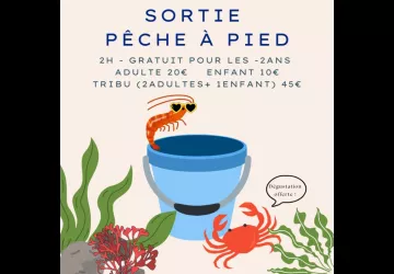 Pêche à pied d'exploration