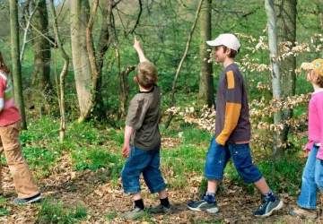 enfants foret 