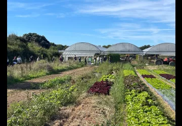 Journées agricoles visite
