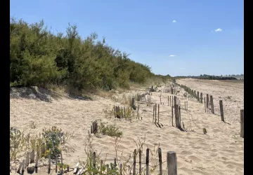 Découverte du système plage-dune