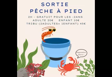 Pêche à pied d'exploration