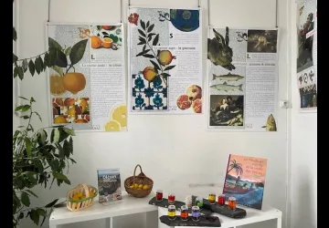 Exposition - Voyage autour du goût_Saint-Trojan-les-Bains