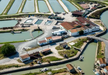 Huîtres Massé_Dolus-d'Oléron