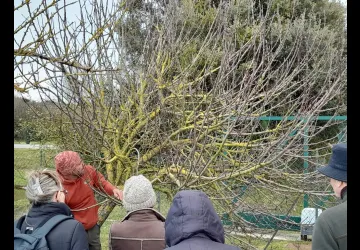 Les végétaux : ressources de mon jardin