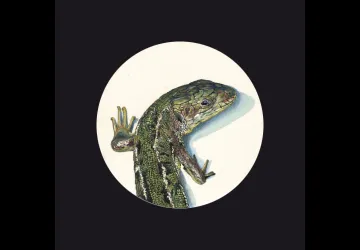 Exposition de peinture naturaliste Pierre-Yves Bonnot_Saint-Trojan-les-Bains