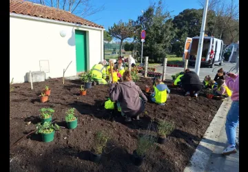 Atelier de plantation participatif_Saint-Denis-d'Oléron