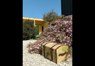 Chasse au trésor " A la sau" au Port des Salines_Le Grand-Village-Plage