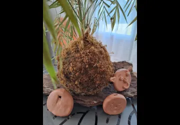 Atelier céramique Sifflets