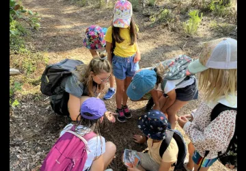 Forêt du littoral_Saint-Pierre-d'Oléron