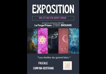 Exposition d'art : Les étoiles du Grand Bleu_Marennes-Hiers-Brouage