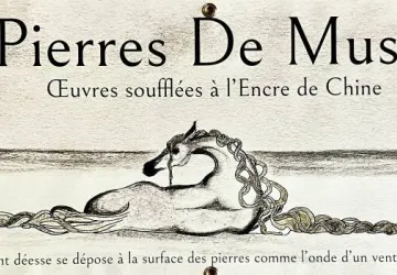 Exposition de travaux à l'encre de chine multisupports - Clarice Chiron