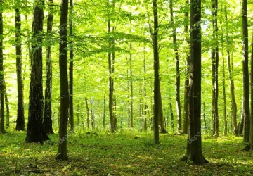 Balade sensorielle à Nodes