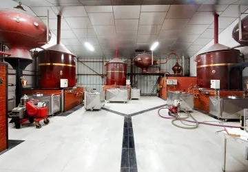 Vignoble Maxime PINARD_La Brée-les-Bains