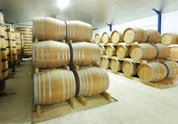 Vignoble Maxime PINARD_La Brée-les-Bains