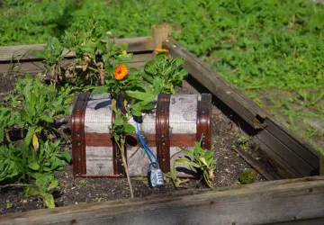 La magie des plantes : chasse au trésor_Le Château-d'Oléron