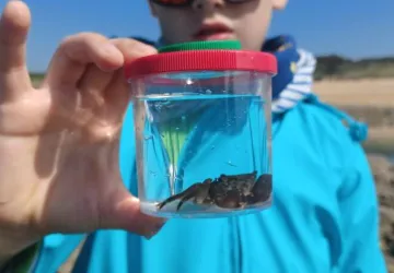 Pêche à pied d'exploration