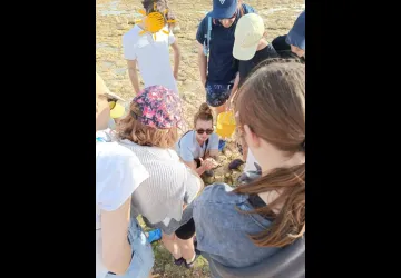 Pêche à pied d'exploration_Saint-Pierre-d'Oléron