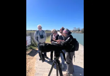 Ornitho'rapido_Saint-Pierre-d'Oléron