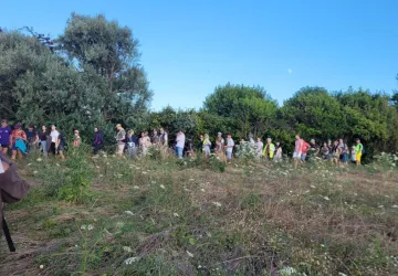 Marche coucher du soleil_Saint-Denis-d'Oléron