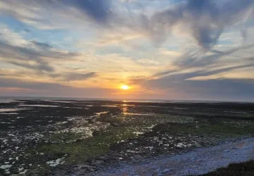Marche coucher du soleil_Saint-Denis-d'Oléron
