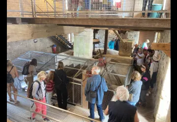 Visite guidée à 2 voix pour la Fête de la Nature au Moulin des Loges