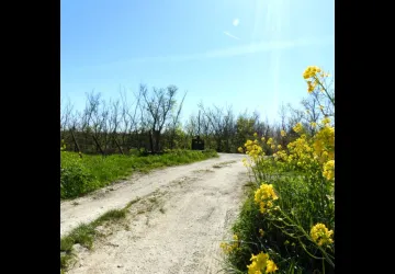 Parcours Legendr nature_Saint-Sornin