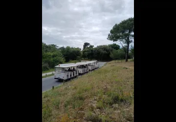 Le petit train des plages de Boyardville_Saint-Georges-d'Oléron