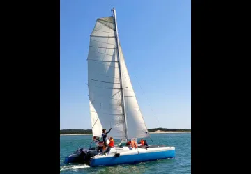Sortie biodiversité et voile
