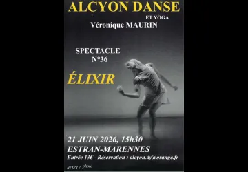 spectacle de danse Alcyon_Marennes-Hiers-Brouage