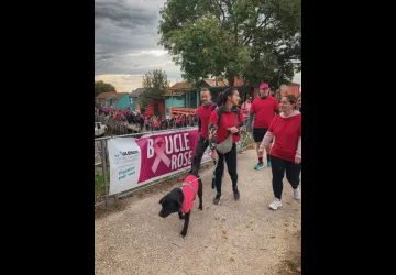 Boucle rose 2026 à Dolus