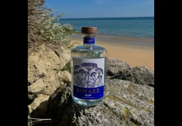 Gin Boyard Tour - Soirée de lancement_Saint-Pierre-d'Oléron