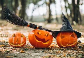 Halloween à la Maison de la Nature_Le Château-d'Oléron