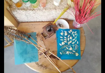 Atelier 7-12 ans - Ma plante Frankenstein_Le Grand-Village-Plage