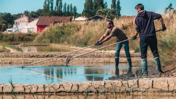 Récolte du sel au Port des Salines