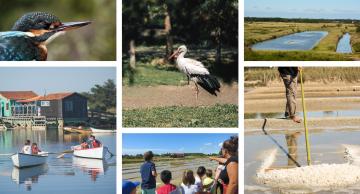 Les échappées natures sur l'île d'Oléron